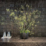 アマン京都 - 店内