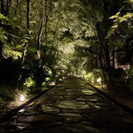 アマン京都 - 夜の森の庭