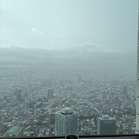 サンシャイン クルーズ・クルーズ - 