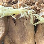 牛たん かねざき  - 