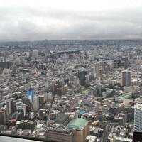 サンシャイン クルーズ・クルーズ - 