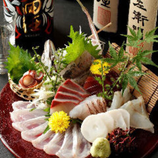 魚殿_2