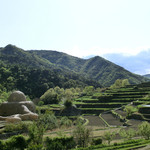 島宿　真里 - ＜観光＞島の光
