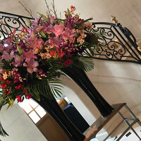 ガストロノミー ジョエル・ロブション - 