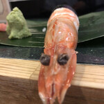 Hotei Zushi - 