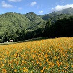 らー麺　Do・Ni・Bo - 面白山高原コスモスベルグ