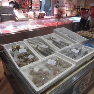 海の駅 蜃気楼_2