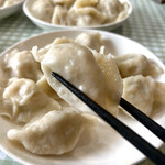 1+Dumpling - 
