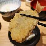 Tempura To Wain Ooshio - 