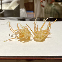 天七 - 車海老脚
                    天ぷら屋さんにより、車海老の脚に身が残っているお店もありますがこちらは純粋に脚部のみ。
                    どちらがどうのではなく、この脚部だけだとパリパリ感がより良く感じますね♪
                    これには勿論藻塩です！