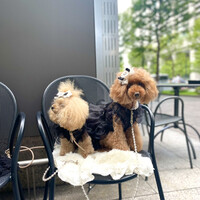 GARB Tokyo -  GARB Tokyo -