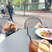 GARB Tokyo -  GARB Tokyo -