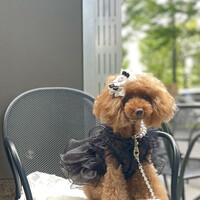 GARB Tokyo -  GARB Tokyo -