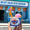 BLUE SEAL - 