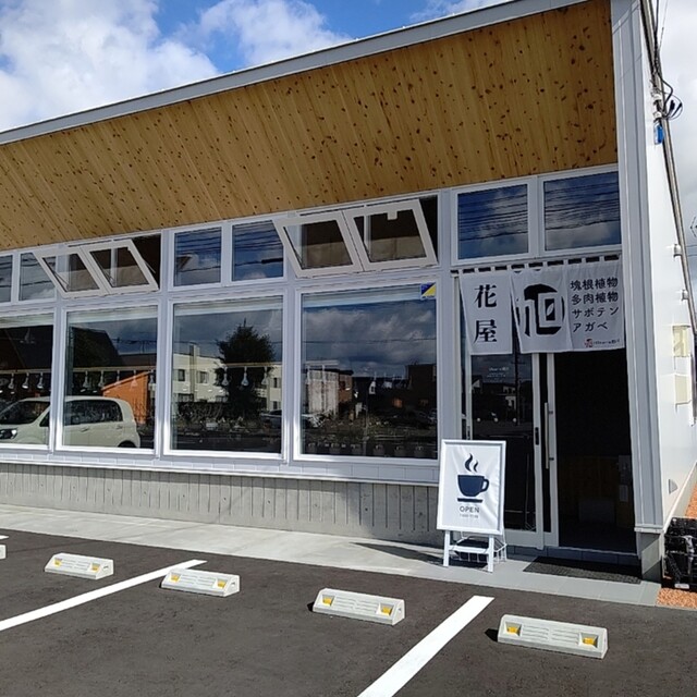 ビザール旭川 - 新旭川（その他）の写真