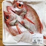 鮮魚専門 三神 - ノドグロ