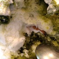 THE FUNATSUYA - 「かぶせ抹茶モンブラン」。中身。