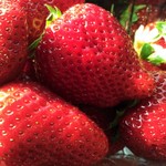 くりはらコモンズ - 地物のイチゴです