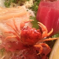 魚竹 - 沢蟹 さっきまで店内で泳いでいました。