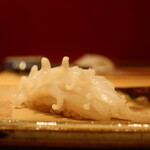 鮨 しみづ - 唐津のヤリイカ