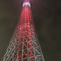 piccole lampare & rooftop Sky Bar - テラス席からはスカイツリーが目の前に！