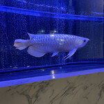 焼肉 拍手喝采 - 