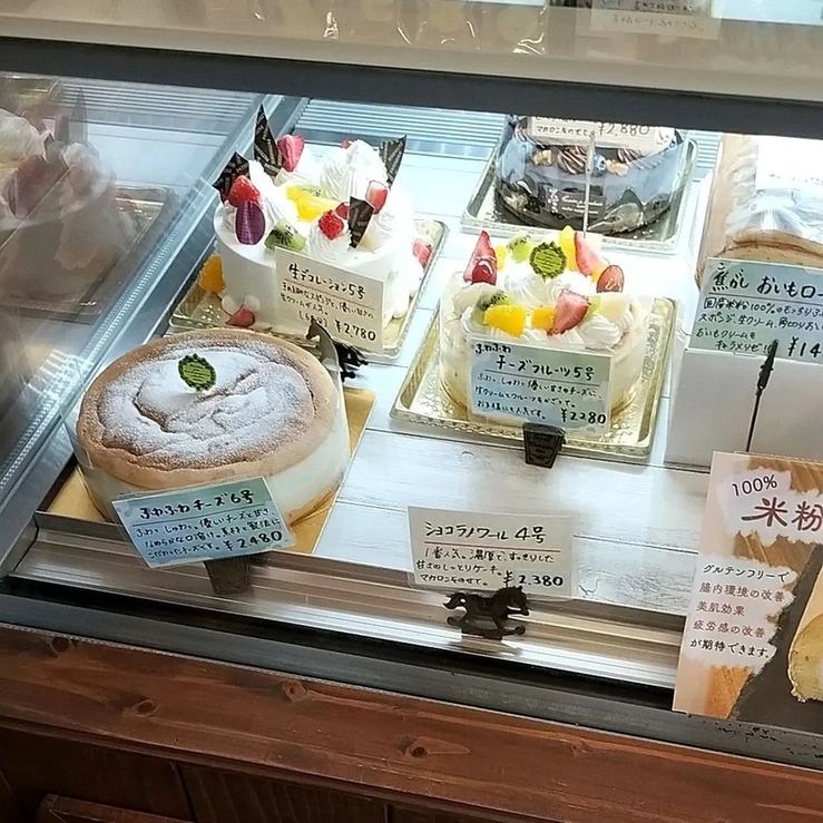 ココロ様専用 COCOROさま専用です しみつい