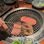 よろにく - ツチノコ