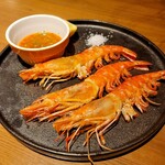 CHEESE SQUARE AVANTI - 