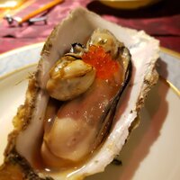 la princesse kyoto - 