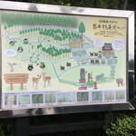 霧島ホテル - 百年杉庭園　毎日30分くらい歩いてきました。