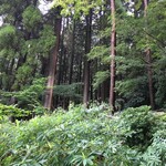 霧島ホテル - 奥の方は健脚の人しか厳しそうなゾーンが続きます