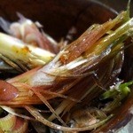 角一 - （2013.4）みょうが