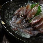 角一 - （2013.4）生ホタルイカ