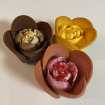 トーキョー チューリップ ローズ - チューリップローズ