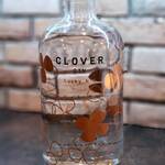 Yokomeshi Sakaba Arubero - CLOVER GIN No.4