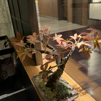 暗闇坂宮下 丸の内店 - 