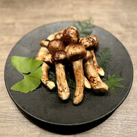 USHIGORO S. SHINJUKU - 松茸