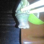 ぢゅげむ - 亀の手