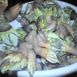 ぢゅげむ - 亀の手大群！