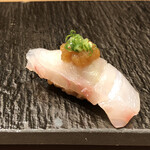 難波 鮨 よこ田 - アコウ