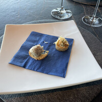 International cuisine subzero - 