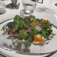 レフェルヴェソンス - 