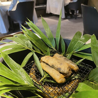 レフェルヴェソンス - 