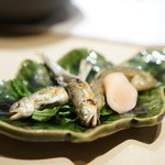 くろぎ - 琵琶湖の稚鮎