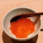 匠 進吾 - 新イクラ丼