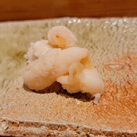 匠 進吾 - 石垣貝