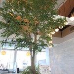 うどんれすとらん へんこつ - 