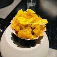 VELROSIER - 
