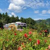 道の駅　あらかわ